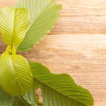 What is the Recommended Dosage for Bali Kratom?