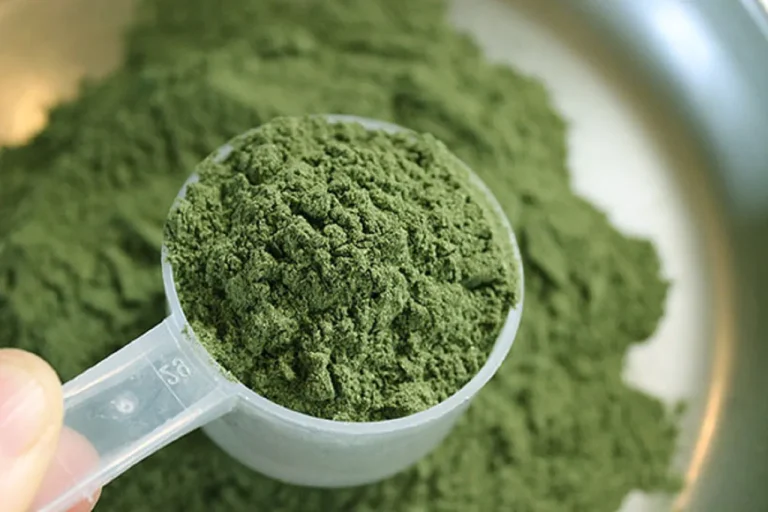 The Gentle Power of Red Malay Kratom for Managing Headaches